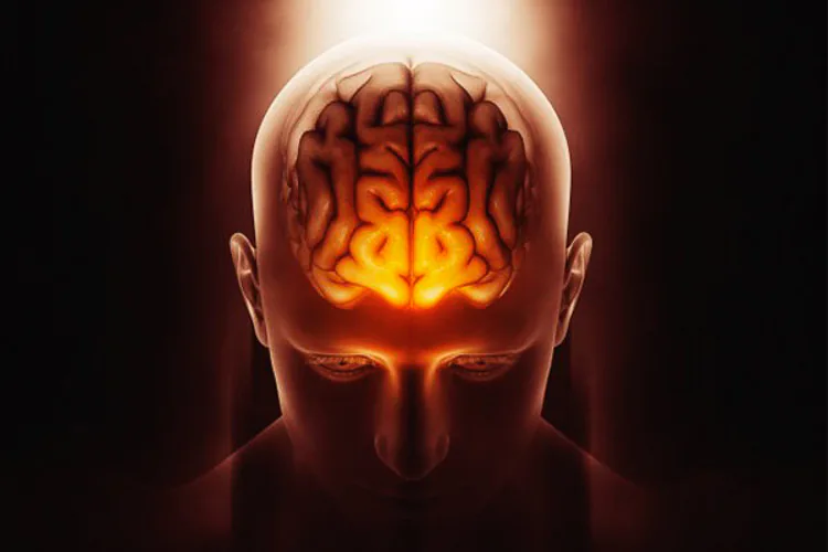 Investigadores de EE.UU. compilan un "atlas" del cerebro