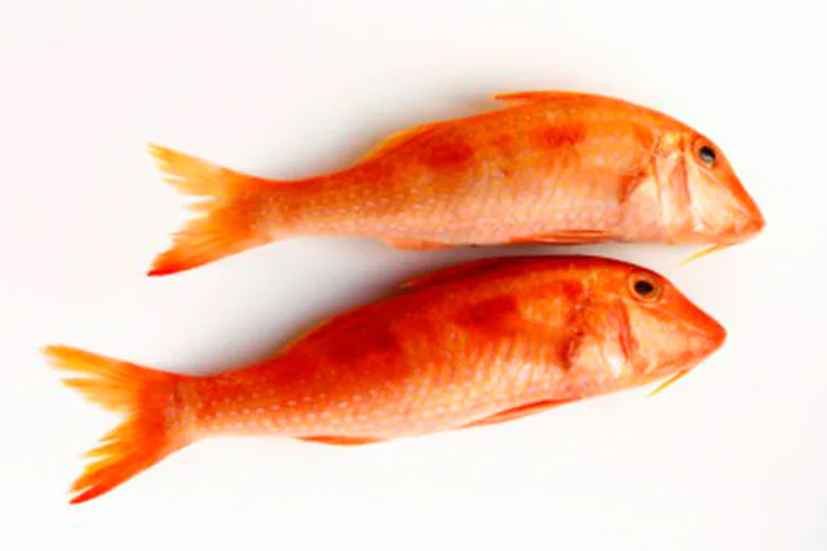 El mercurio en el pescado podría no ser tan tóxico