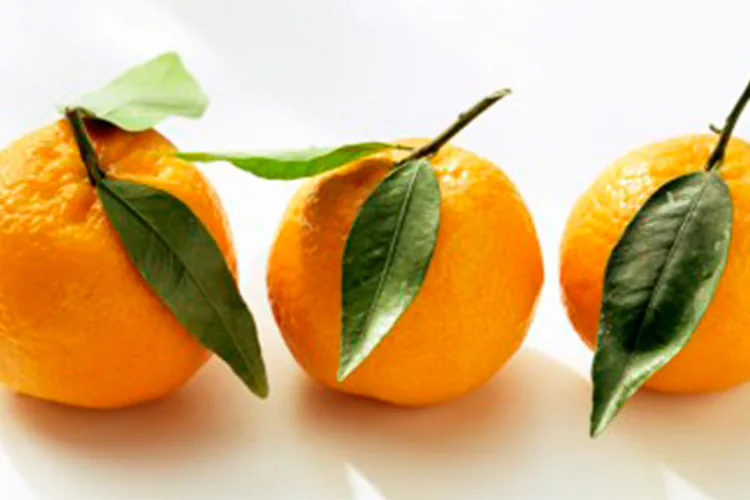 Las naranjas podrían prevenir ciertos tipos de cáncer