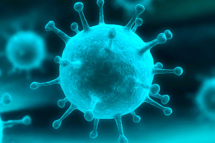 Científicos en Estados Unidos creen haber descubierto una nueva forma de combatir enfermedades como el VIH/SIDA y la leucemia. Estos investigadores -que publicaron los resultados de su estudio en la revista de la Academia Estadounidense de Ciencias- dicen haber identificado una sustancia química que puede detener el accionar de los llamados retrovirus.