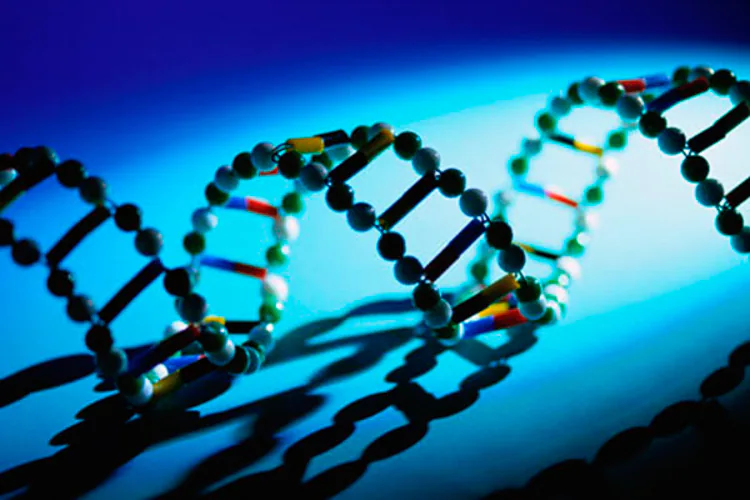 Científicos señalan haber descubierto que el código genético humano contiene muchos menos genes que los que se creía hasta el momento. Cuando se publicó el primer esquema incompleto del genoma hace tres años, quienes estaban detrás del hallazgo estimaron que los seres humanos contaba con entre 30 a 40 mil genes.