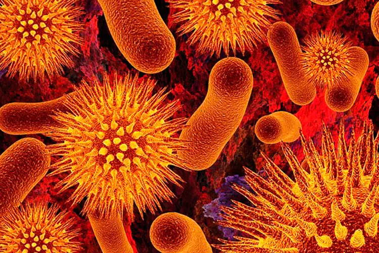 Las sustancias tóxicas a las que estuvieron expuestos nuestros tatarabuelos podrían estar afectando nuestro cuerpo, según afirma un equipo de científicos estadounidenses. Los investigadores, de la Universidad Estatal de Washington, afirman que encontraron pruebas de que algunas enfermedades hereditarias pueden ser causadas por sustancias químicas en el útero.