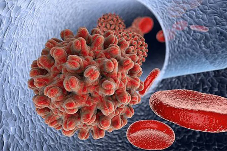 La hepatitis de tipo B y C son similares tipos de infecciones del hígado causados por víruses. La hepatitis B crónica y la hepatitis C crónica son infecciones del hígado que duran mucho tiempo, y se desarrollan después de un ataque de hepatitis aguda.