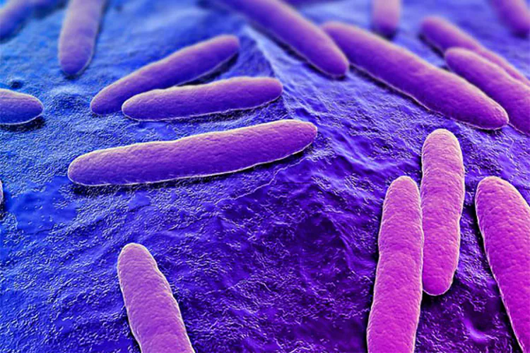 Científicos internacionales dicen que han secuenciado los genomas de tres parásitos responsables por enfermedades que matan a más de 150.000 personas al año. Sus avances deberían ayudar al tratamiento del mal de Chagas, la enfermedad africana del sueño y la leishmaniasis, causadas por los tres patógenos. Incluso podría ser posible hacer vacunas, le dijeron los científicos a la publicación académica Science. Más de 250 científicos participaron en el proyecto.
