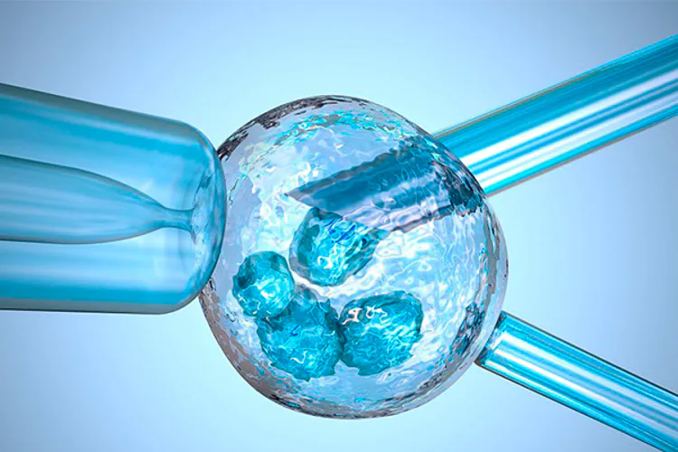 Científicos en Estados Unidos afirman que lograron crear células madre sin destruir al embrión del cual se obtienen. La investigación, llevada a cabo en ratones, podría poner fin a largo debate sobre los aspectos éticos de la investigación genética en humanos.