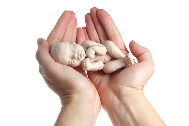 Un aborto es la terminación de un embarazo. Es la muerte y expulsión del feto antes de los cinco meses de embarazo. Después de esta fecha, y hasta las 28 semanas de embarazo se llama parto inmaduro y parto prematuro si tiene más de 28 semanas. Se dice que hay aborto completo cuando se expulsa con el feto la placenta y las membranas. Hay retención placentaria cuando se expulsa solamente el feto y se dice que hay restos uterinos cuando sólo se expulsa una parte del producto de la concepción. A veces es difícil distinguir realmente lo que se ha expulsado, dadas las alteraciones que sufre no sólo el feto, sino la placenta y las membranas.