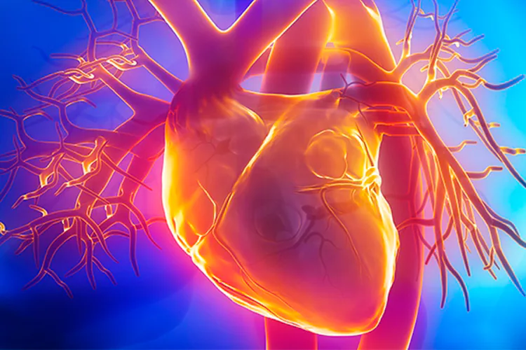 La ecografía 3D, clave para predecir el riesgo cardiaco